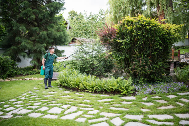 Best Affordable Pest Control Services  in Ocean Park, WA