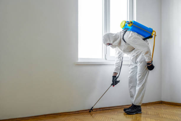 Best Best Pest Control Companies  in Ocean Park, WA