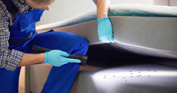 Best Local Pest Control Services  in Ocean Park, WA