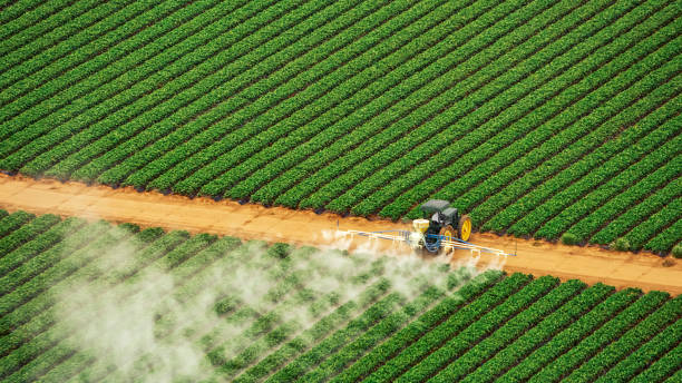 Best Pest Removal Services  in Ocean Park, WA