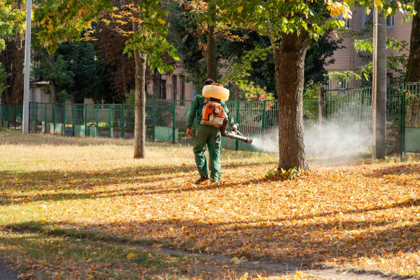 Best Pest Control Near Me  in Ocean Park, WA